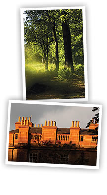  Images from Coodham Estate 